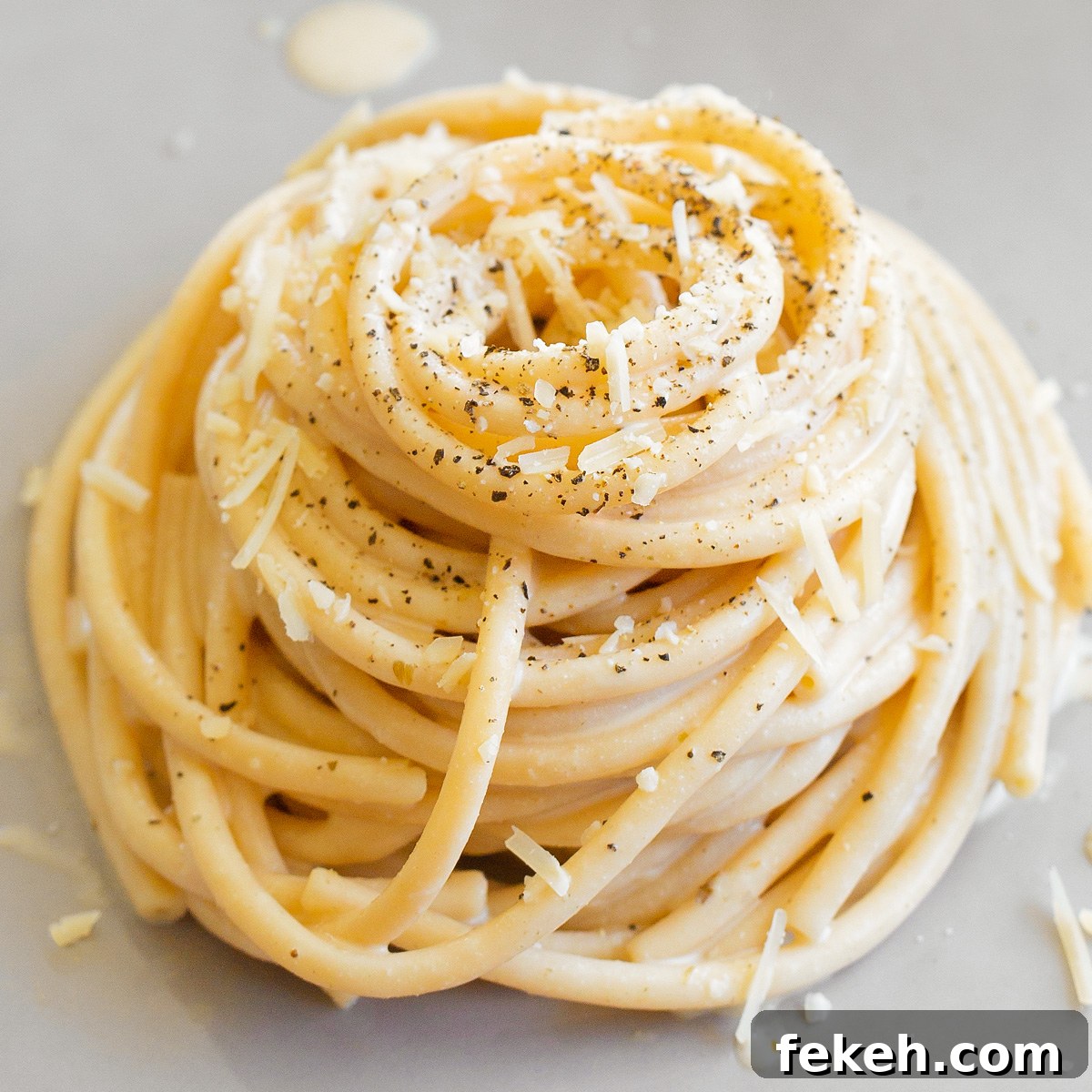 featured 100539