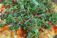 Savory Shrimp Omelette Recipe for Brunch or Quick Dinner