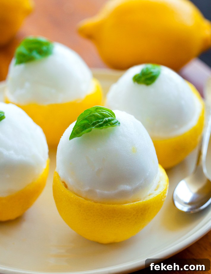 Vegan Cacio e Pepe Recipe: Creamy Plant-Based Pasta with Black Pepper 6 The best lemon sorbet recipe in hollowed out lemons
