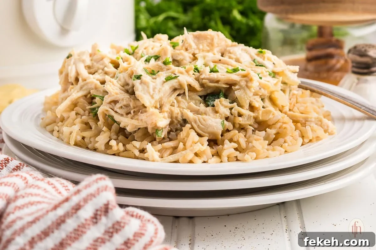 Fresh Chicken Recipes for Summer Grilling and Light Meals 17 Shredded chicken over brown rice ready to serve.
