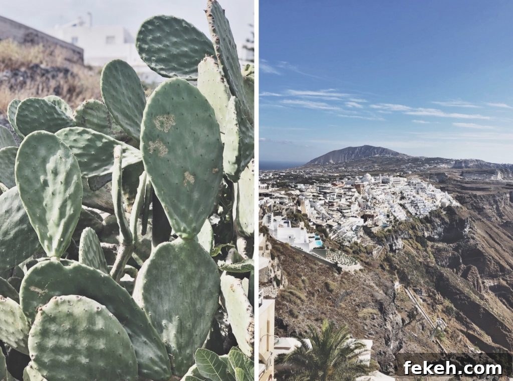 Greece Travel Photo Journal: Stunning Moments from the Islands and Mainland 51 img 1025 50
