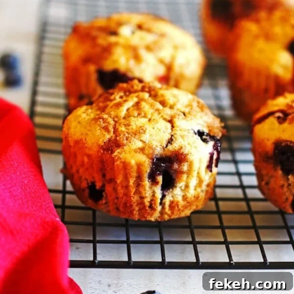 Banana Bread Made in a Bread Machine: Simple Step-by-Step Recipe 8 Blueberry Banana Muffins on a black cooling rack
