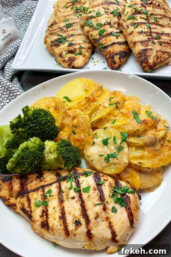 Honey Mustard Grilled Chicken Recipe for Juicy, Tangy Flavor 2 Honey mustard grilled chicken on a plate. Served with scalloped potatoes and broccoli.