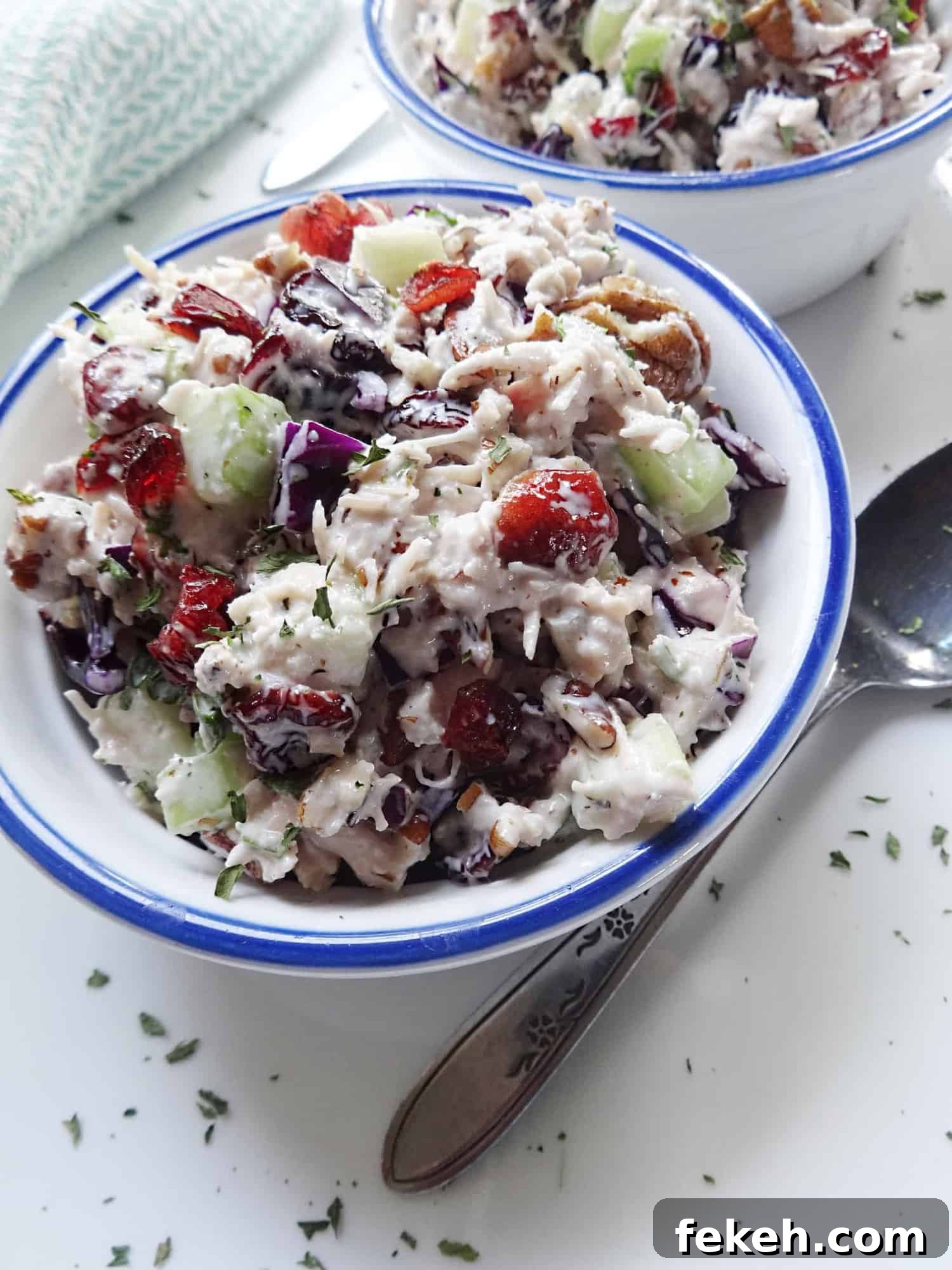 Turkey Salad Recipe with Cranberries
