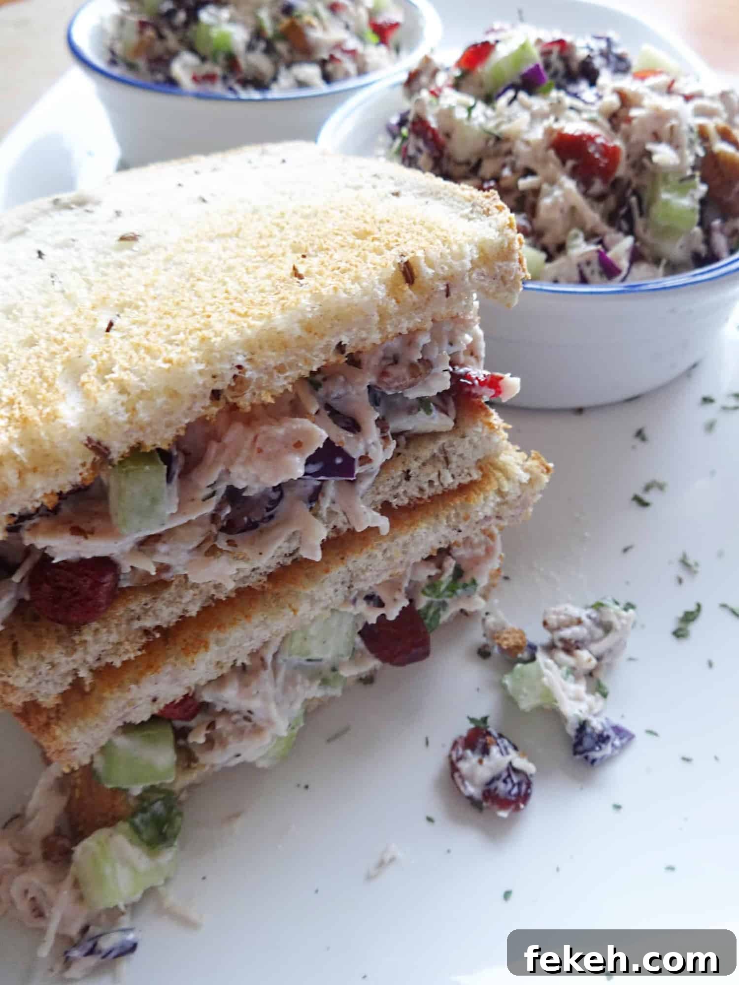 Turkey Salad Recipe with Cranberries