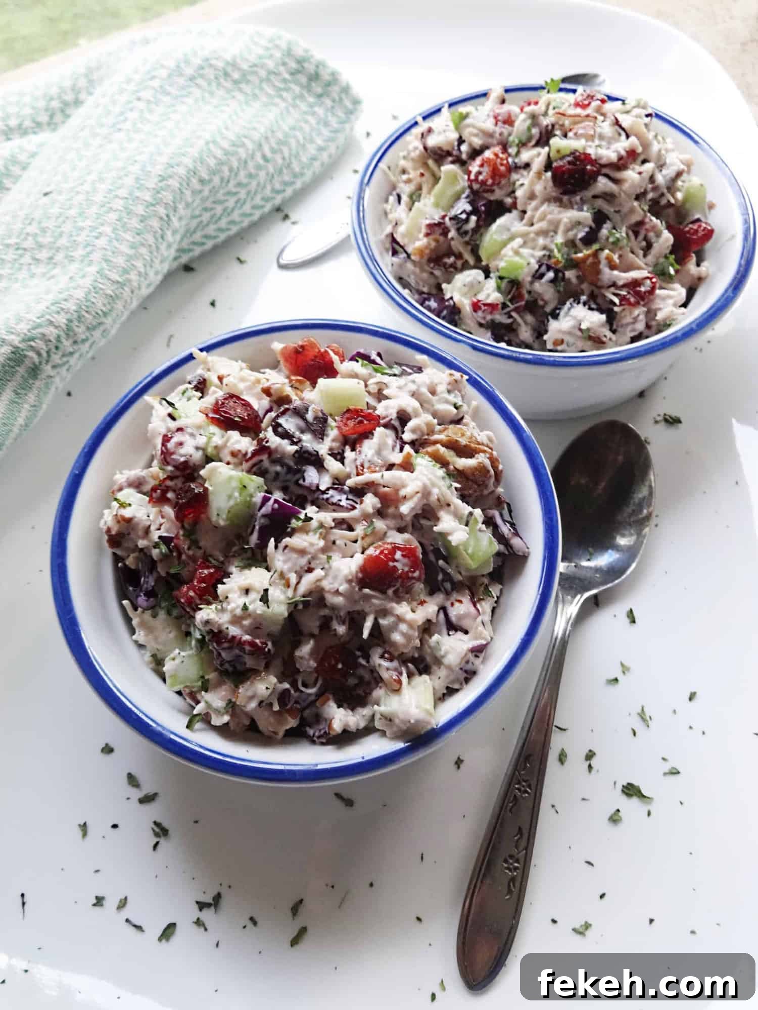 Turkey Salad Recipe with Cranberries