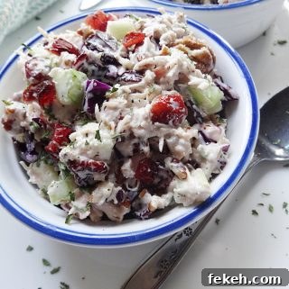 Turkey Salad Recipe with Cranberries