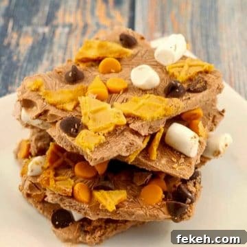 pieces of chocolate frozen yogurt bark stacked on a white plate