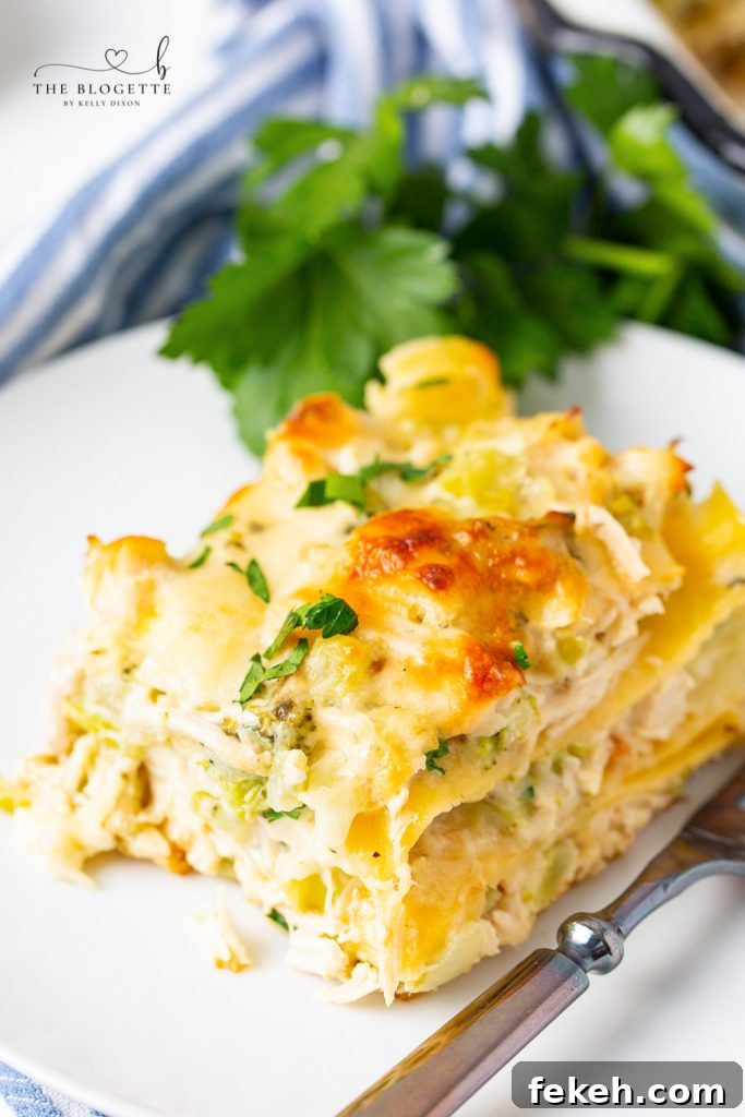 The BEST Chicken and Broccoli Lasagna! Tender chicken is layered with broccoli, lasagna noodles, and a rich and creamy cheese sauce!