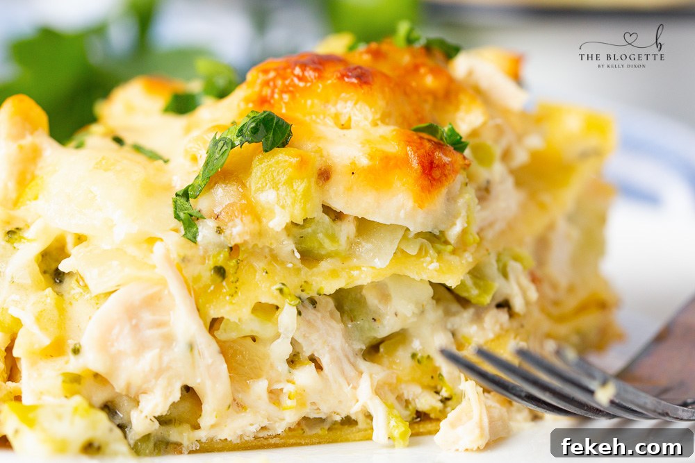 The BEST Chicken and Broccoli Lasagna! Tender chicken is layered with broccoli, lasagna noodles, and a rich and creamy cheese sauce!