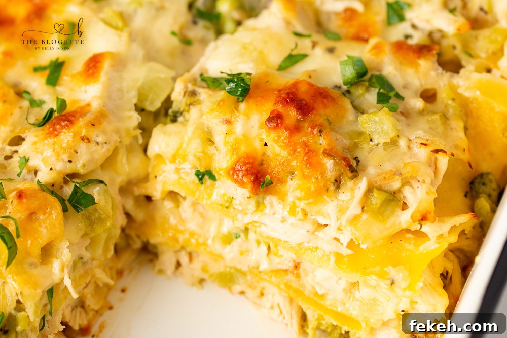The BEST Chicken and Broccoli Lasagna! Tender chicken is layered with broccoli, lasagna noodles, and a rich and creamy cheese sauce!