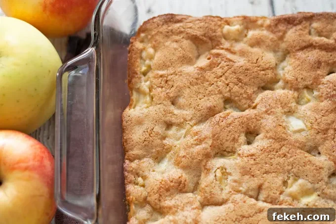 Apple Cake à la Mode: Warm Spiced Apple Cake with Vanilla Ice Cream 3 This apple cake sundae is a fun and easy fall dessert. Hot apple cake is topped with creamy vanilla ice cream and drizzles of caramel!