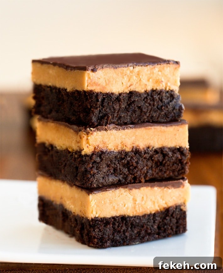 Quick Chocolate Mug Cake Recipe Ready in Minutes 6 Easy Peanut Butter Brownies Recipe