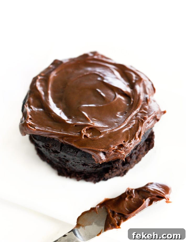 Single Serving Chocolate Cake Single Serving Chocolate Cake