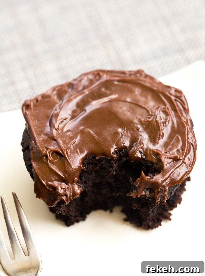 Chocolate Cake in a Mug Chocolate Cake in a Mug
