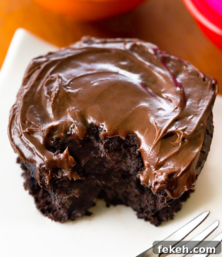Vegan Chocolate Mug Cake Vegan Chocolate Mug Cake