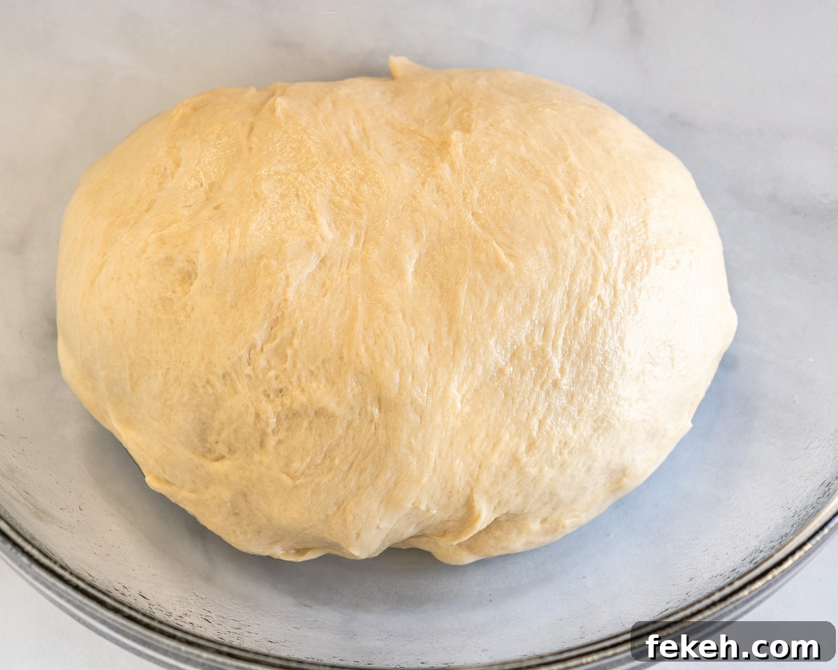 Authentic Cuban Bread (Pan Cubano) Recipe for Crispy Loaf 6 A ball of dough sitting in a greased bowl - Hostess At Heart