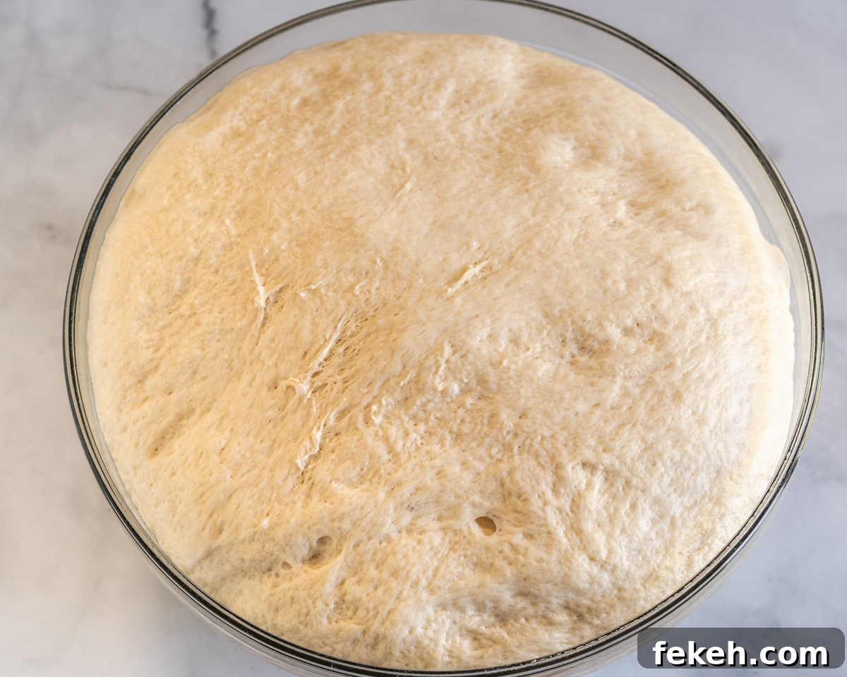 Authentic Cuban Bread (Pan Cubano) Recipe for Crispy Loaf 7 A glass bowl filled with proofed bread dough - Hostess At Heart