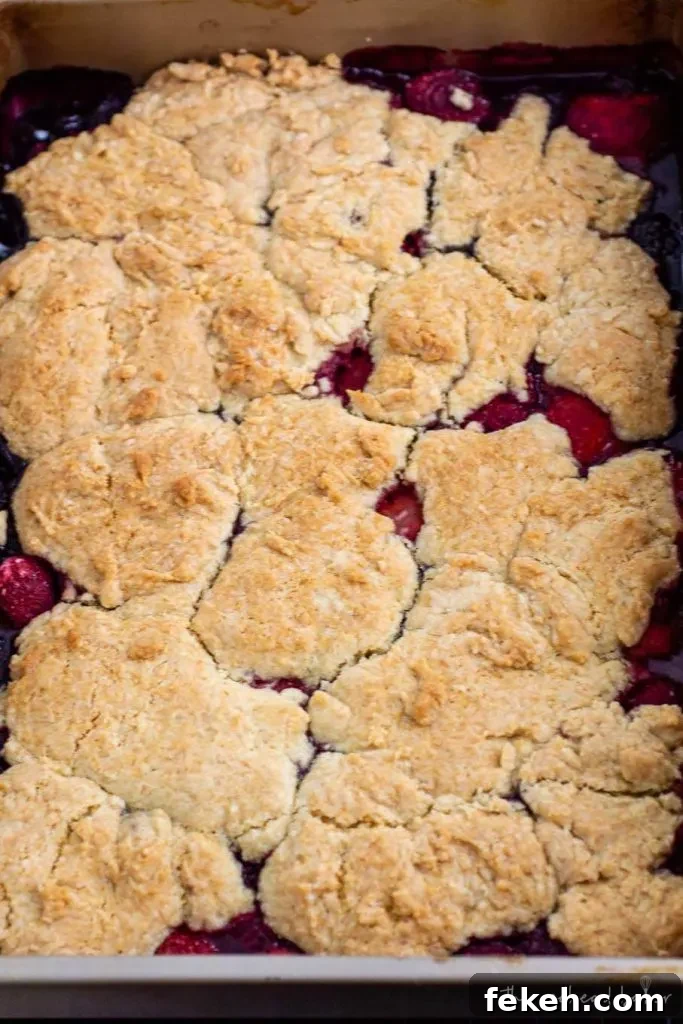 Summery Mixed Berry Cobbler Recipe with Crisp Oat Topping 2 A baking pan of mixed berry cobbler