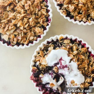 Naturally sweetened blueberry crisp with an oat and honey topping. Vegan and gluten-free.