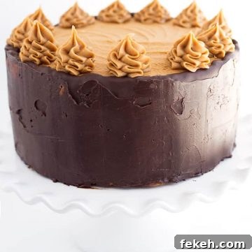 Mocha Layer Cake with Silky Coffee Buttercream Frosting 2 Mocha Layer Cake with Peanut Butter Frosting.