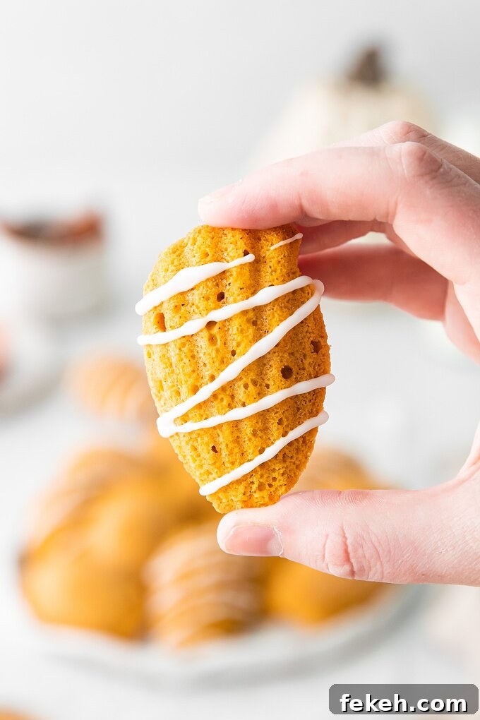 Homemade Madeleines Homemade Madeleines