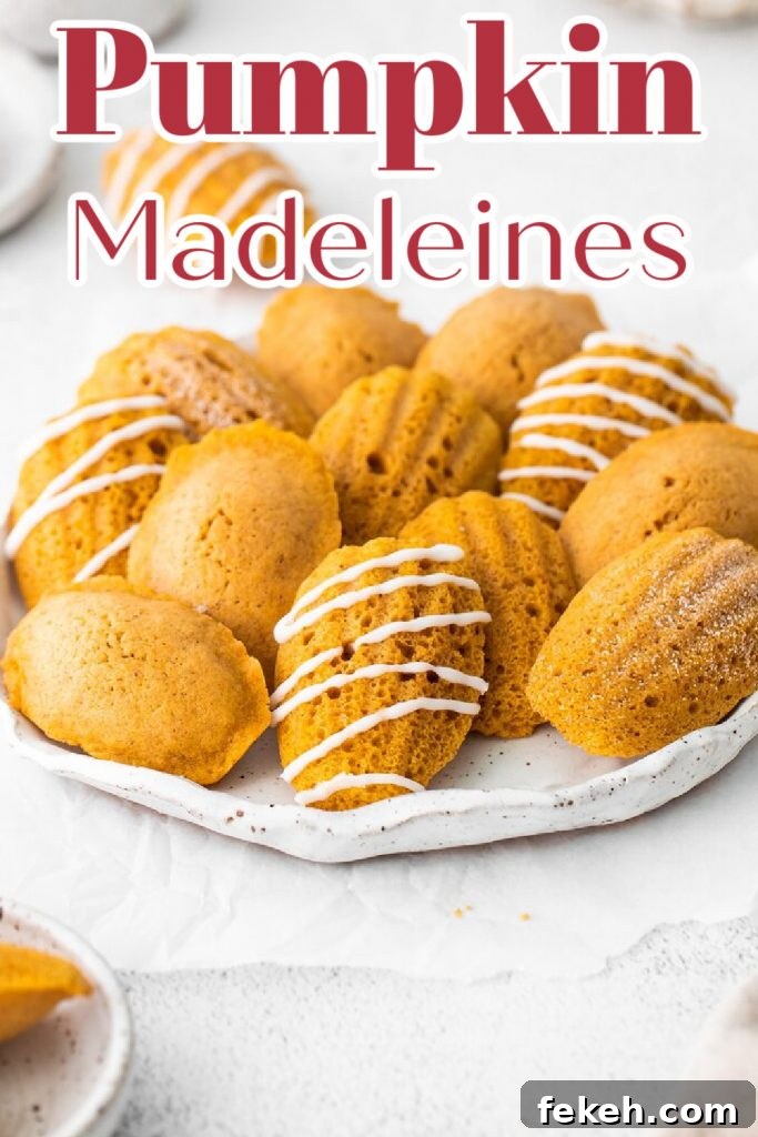 Pumpkin Madeleines Pumpkin Madeleines