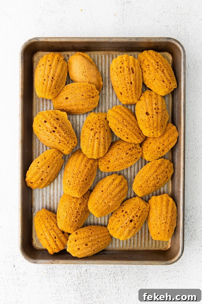 Madeleine Recipe Madeleine Recipe