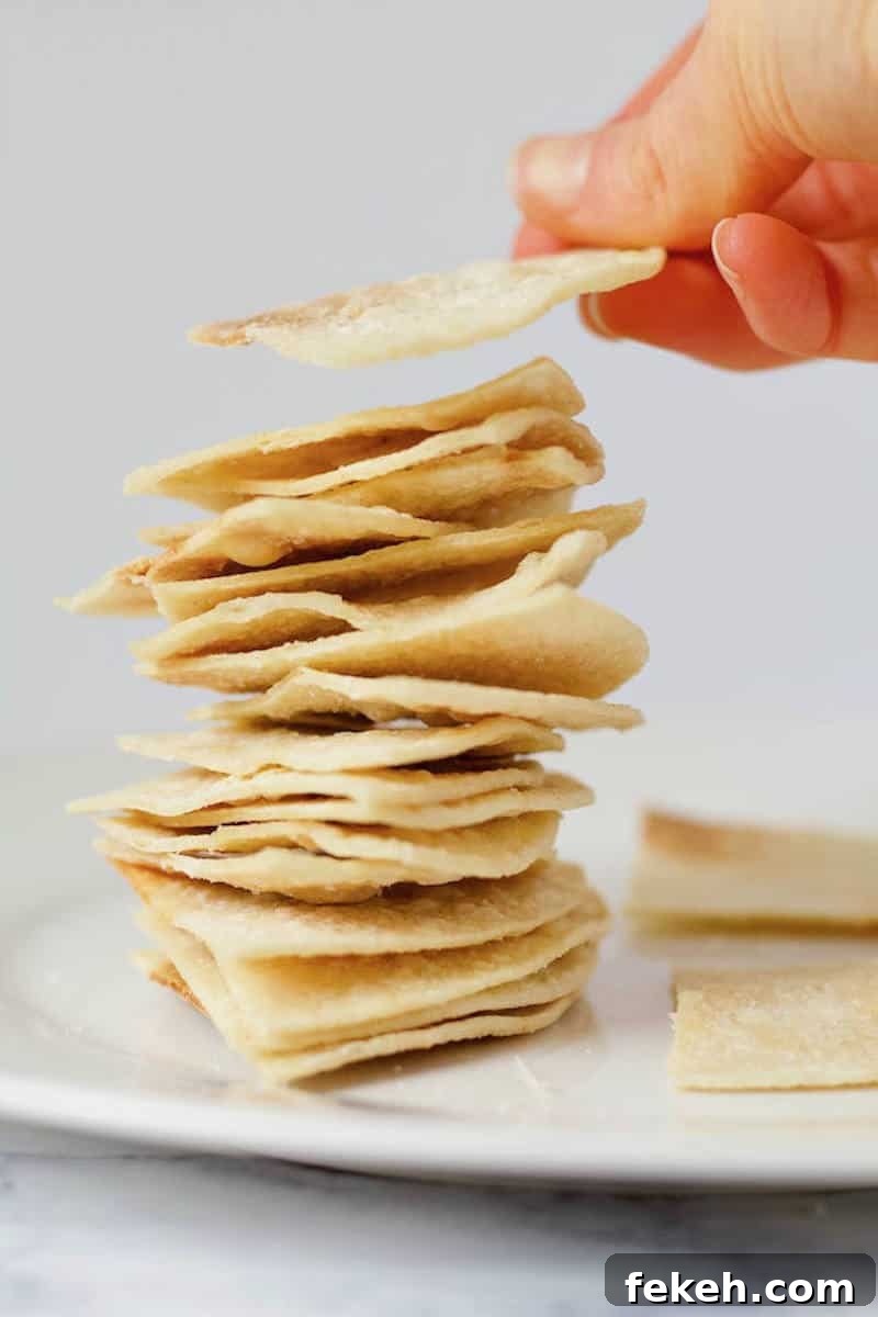 Microwave Homemade Tortilla Chips: Quick Crispy Recipe 2 Easy Homemade Tortilla Chips Recipe Stacked Hand Grabbing