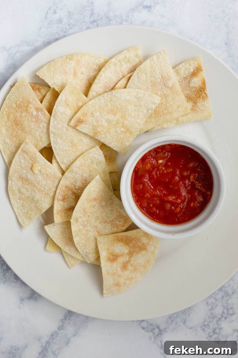 Microwave Homemade Tortilla Chips: Quick Crispy Recipe 4 Easy Homemade Tortilla Chips on white plate with salsa on side