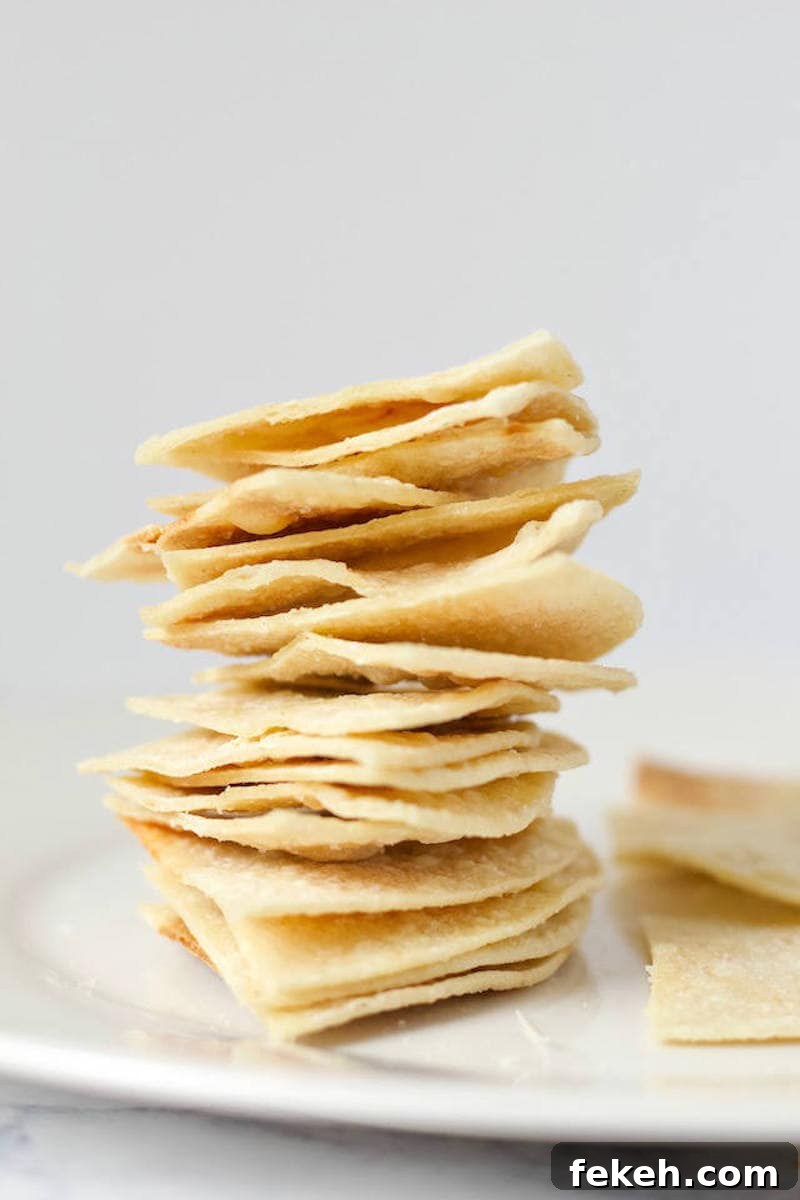 Microwave Homemade Tortilla Chips: Quick Crispy Recipe 5 Easy Homemade Tortilla Chips Recipe Stacked