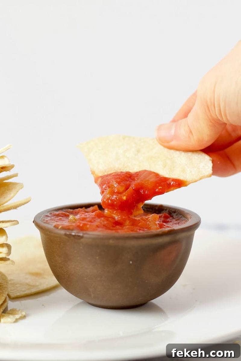 Microwave Homemade Tortilla Chips: Quick Crispy Recipe 6 Easy Homemade Tortilla Chips Recipe Dipping in Salsa