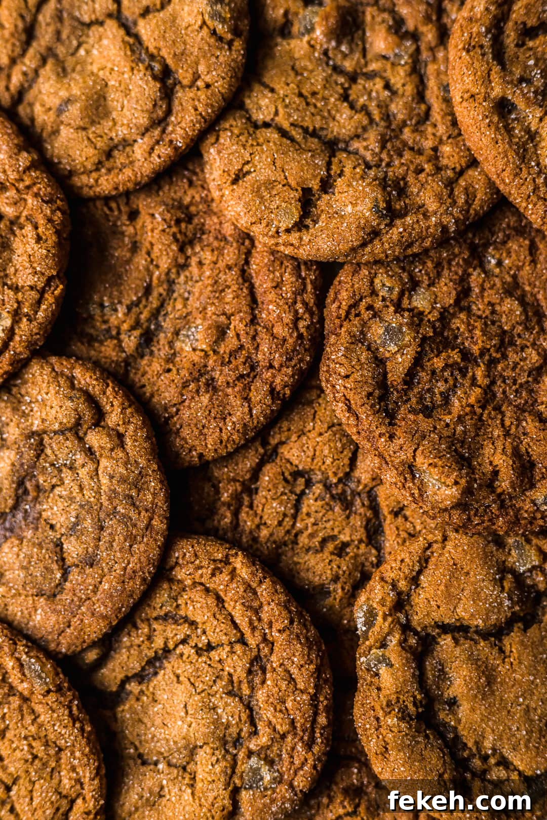 Close up of golden brown ginger molasses cookies and their crackly texture