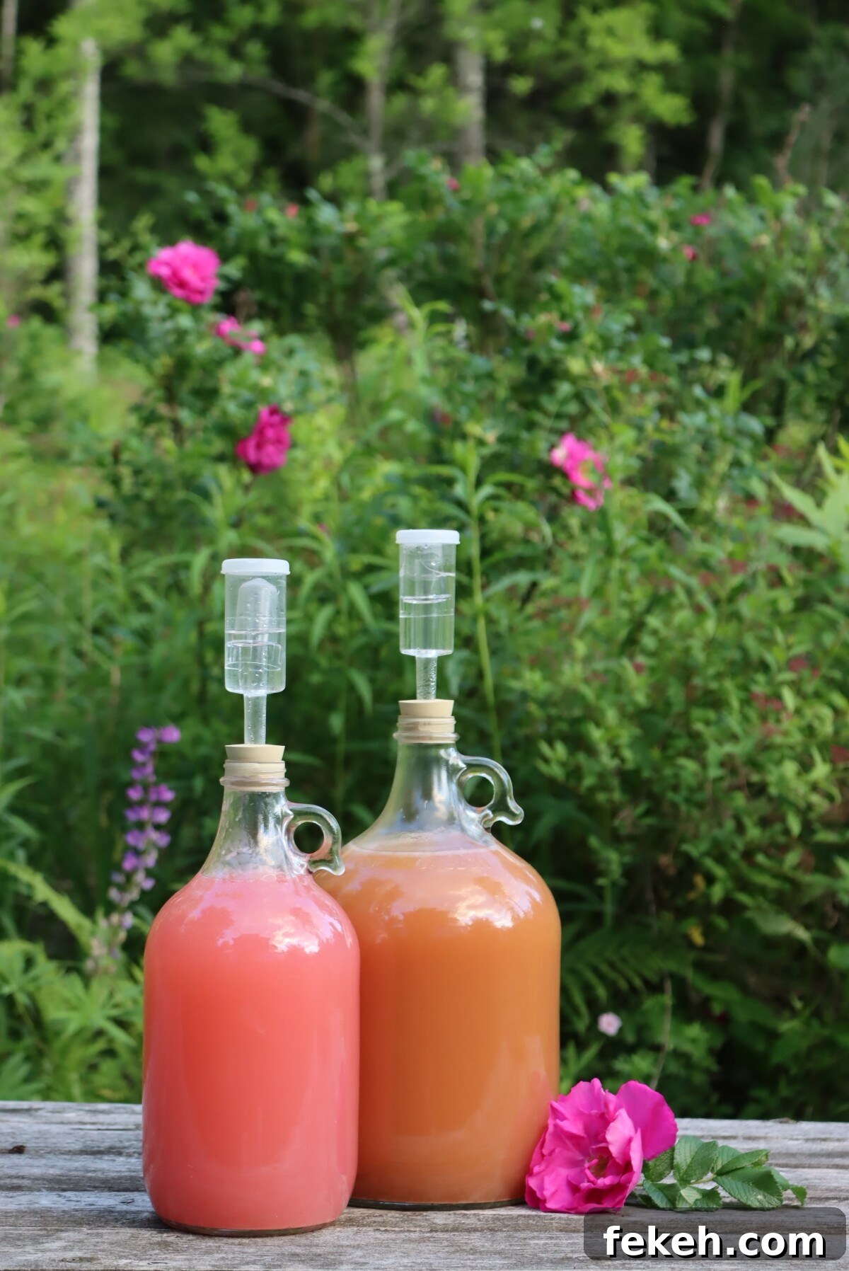 How to Make Rose Petal Wine and Traditional Mead at Home 4 Rose Petal Wine and Mead
