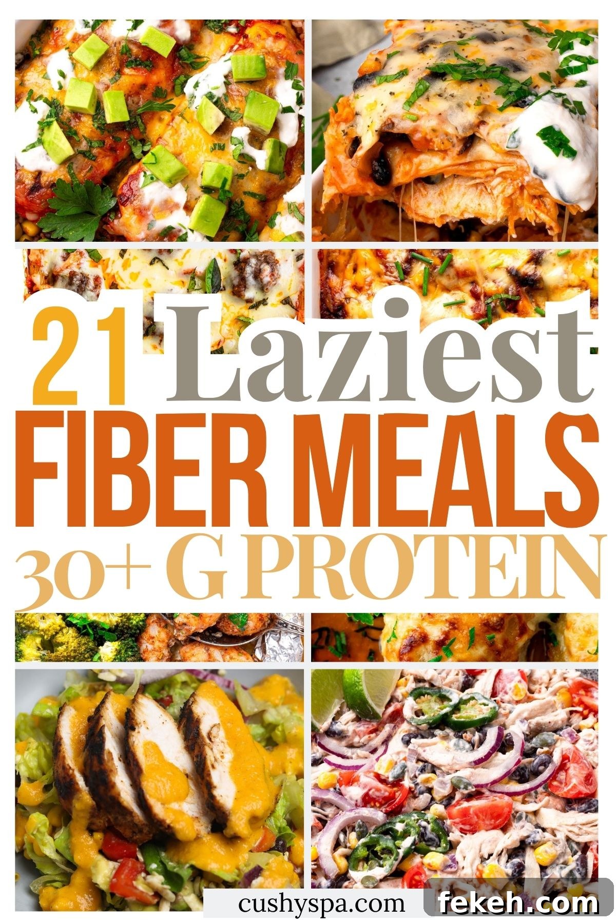 21 Quick High-Protein, High-Fiber Meals with 30g+ Protein 2 21 Lazy High Protein High Fiber Meals with 30G+ Protein