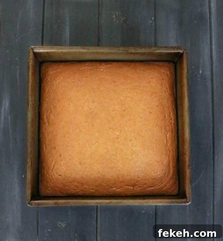 Pumpkin Olive Oil Cake — Eggless, Dairy-Free, Butter-Free Recipe 7 Baked crazy pumpkin olive oil cake in a eight inch square pan
