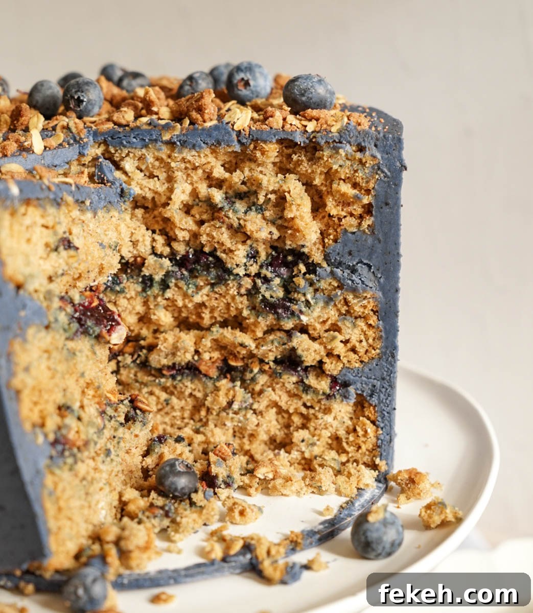 Summer Blueberry Crisp Cake Recipe – Juicy, Crunchy & Seasonal 13 Blueberry Crisp Cake close-up