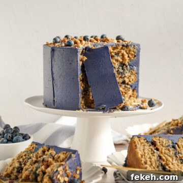 Blueberry Crisp Cake