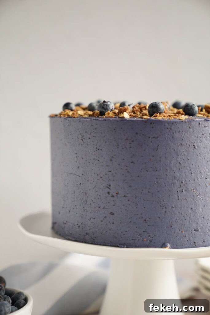 Summer Blueberry Crisp Cake Recipe – Juicy, Crunchy & Seasonal 9 Oat crumble
