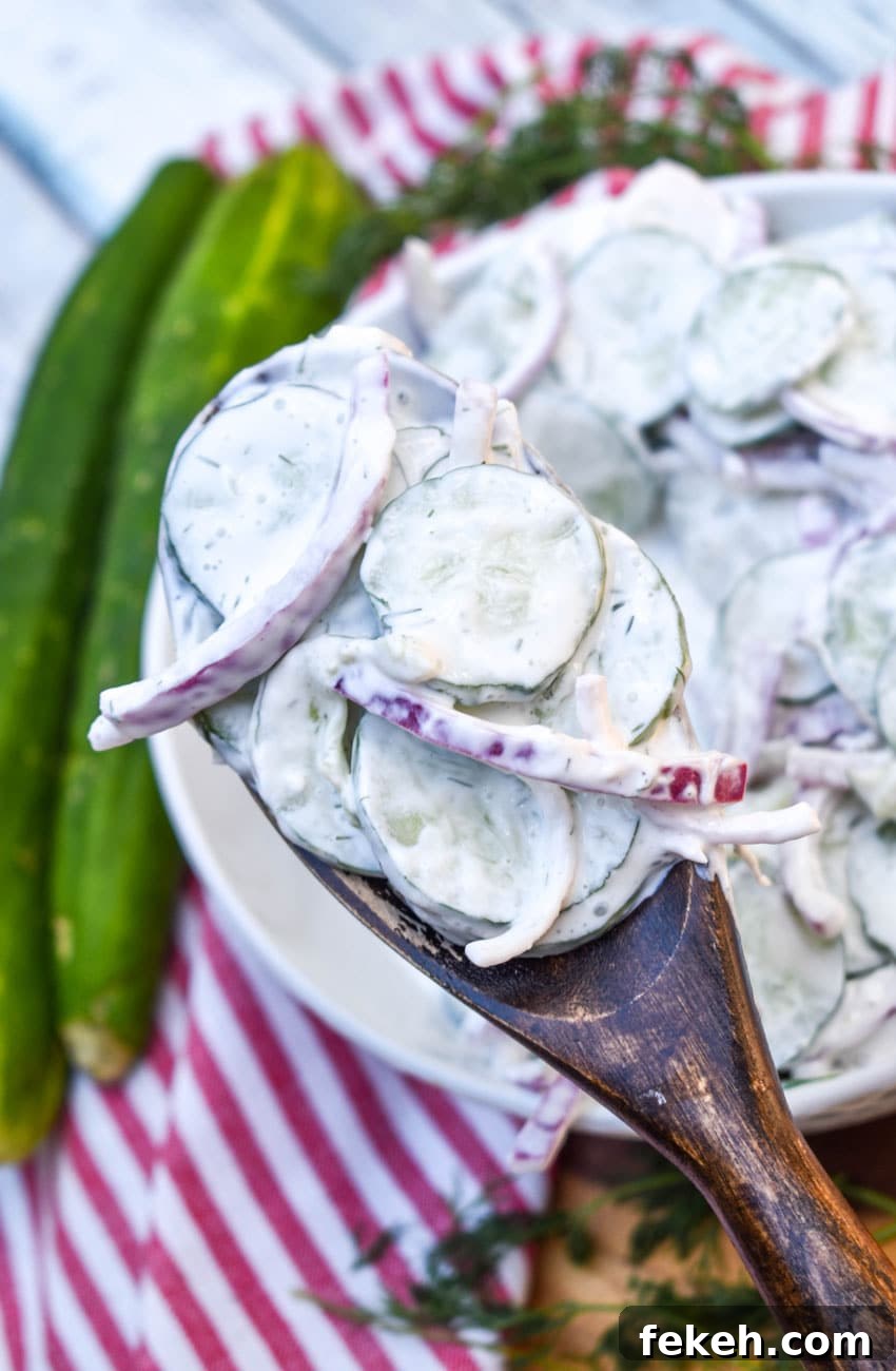Creamy Cucumber Salad Recipe with Dill and Sour Cream 5 a wooden spoon holding up a scoop of creamy cucumber salad