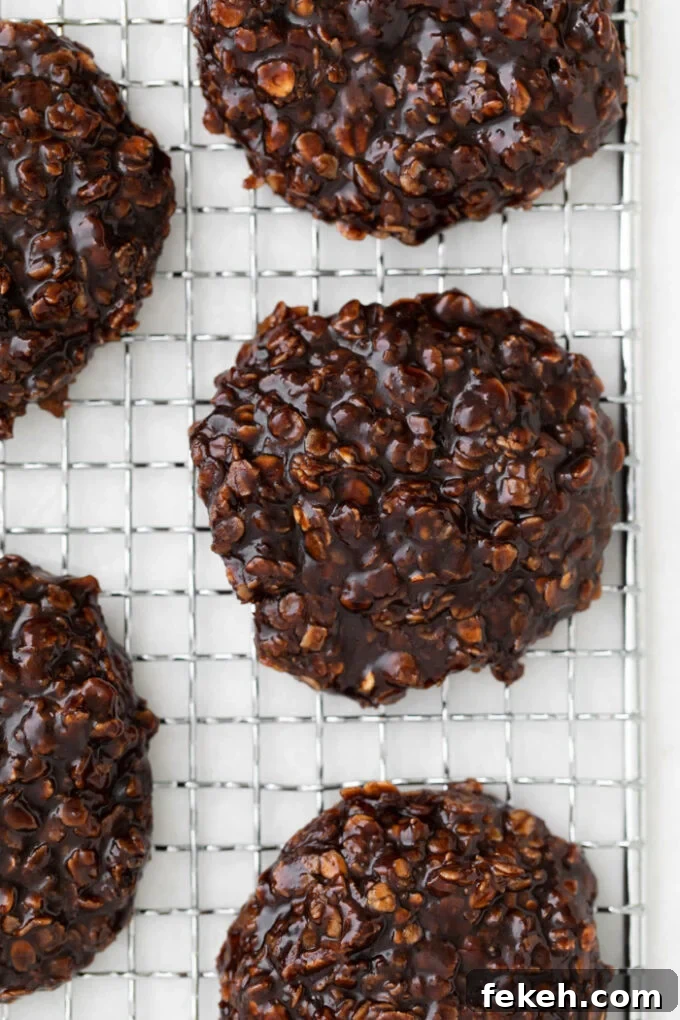 No-Bake Vegan Cookies: Quick Chocolate Oat Treats 2 Vegan No Bake Cookies on a cooling rack
