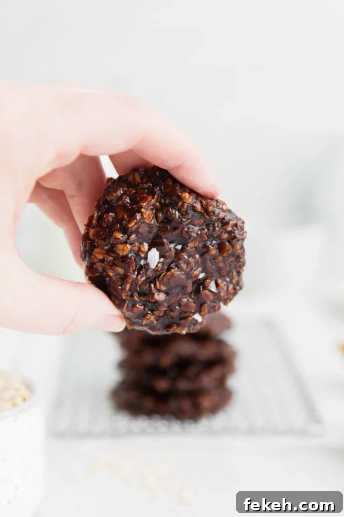 No-Bake Vegan Cookies: Quick Chocolate Oat Treats 3 hand holding a no bake cookie