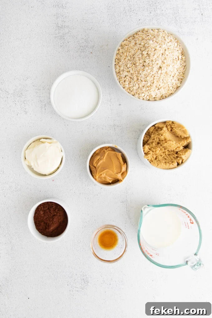 No-Bake Vegan Cookies: Quick Chocolate Oat Treats 4 ingredients for vegan no bake cookies