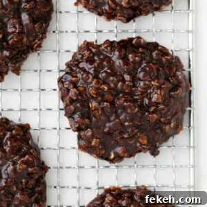No-Bake Vegan Cookies: Quick Chocolate Oat Treats 8 Vegan No Bake Cookies on a cooling rack