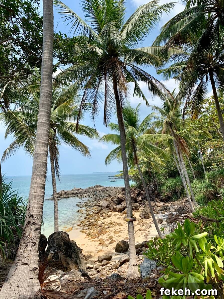 Celiac Travel Guide to Thailand: Gluten-Free Tips and Places 21 Koh Lanta, Thailand