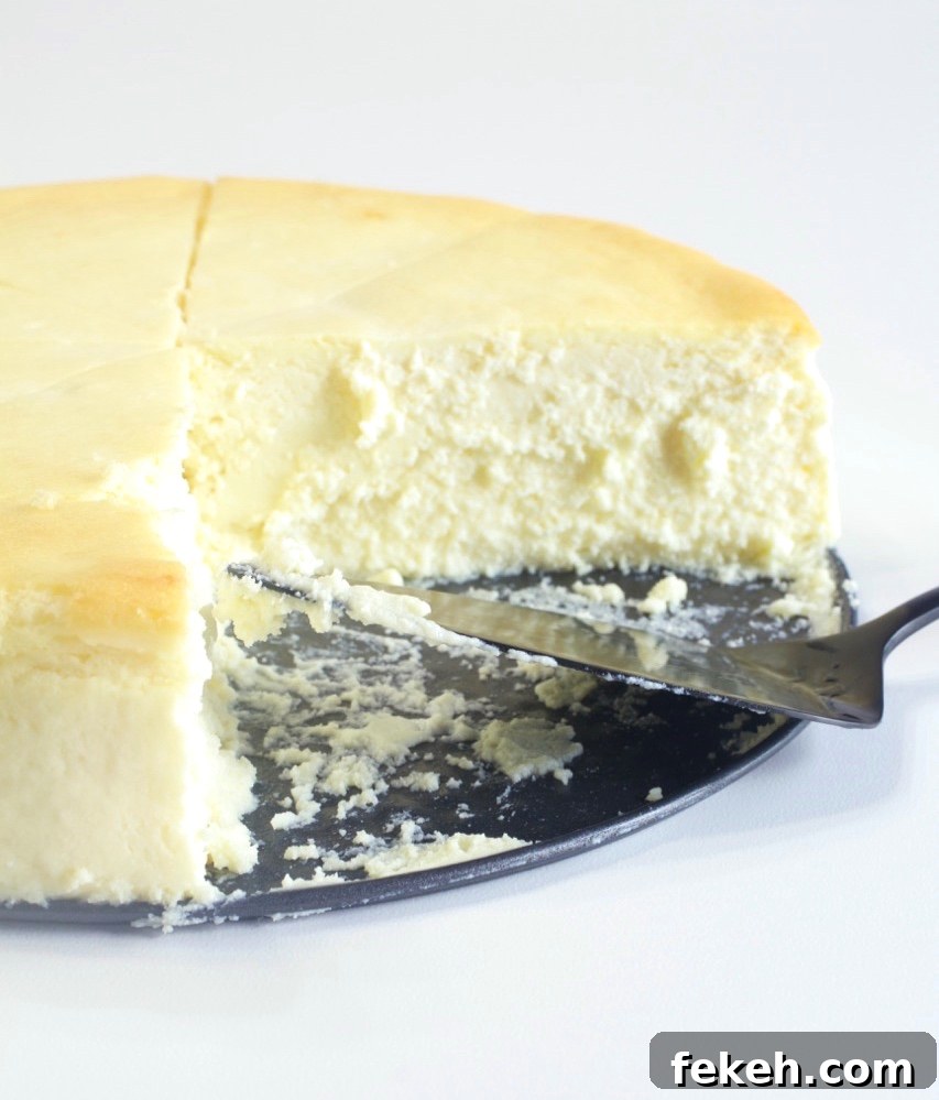 Creamy Crustless New York-Style Cheesecake Recipe 5 Chilled cheesecake ready to serve