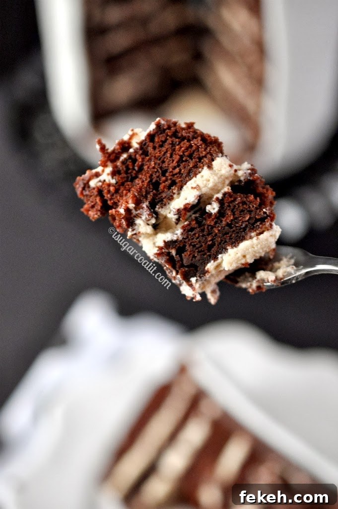 Stout and Peanut Butter Chocolate Layer Cake
