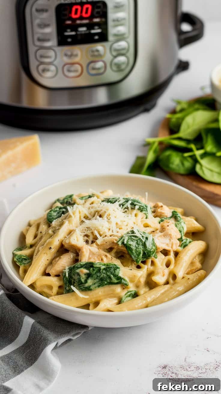 Creamy Spinach and Chicken Pasta Recipe for Dinner 2 Creamy Chicken and Spinach Pasta