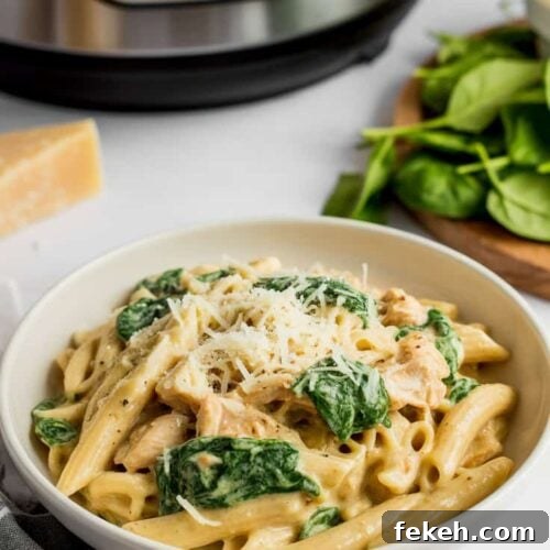 Creamy Spinach and Chicken Pasta Recipe for Dinner 4 Creamy Chicken And Spinach Pasta1