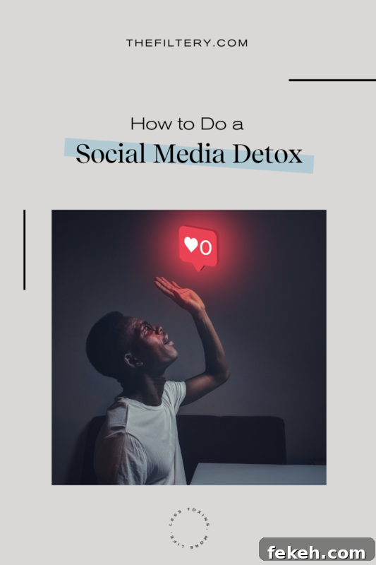 Social Media Detox: Step-by-Step Plan to Reclaim Your Time 2 social media detox